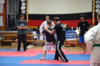 Bild (13)